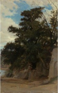 Trees In A Coastal Landscape